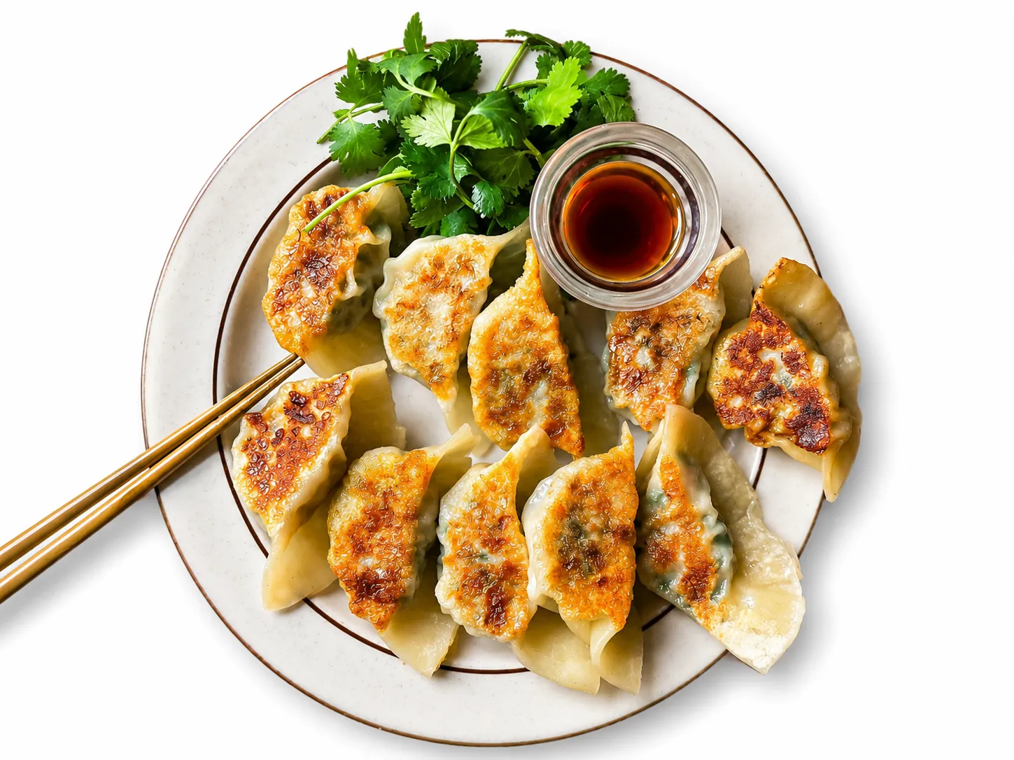 Pan-fried gyoza dumplings at Sushi Maru in Winnipeg, MB